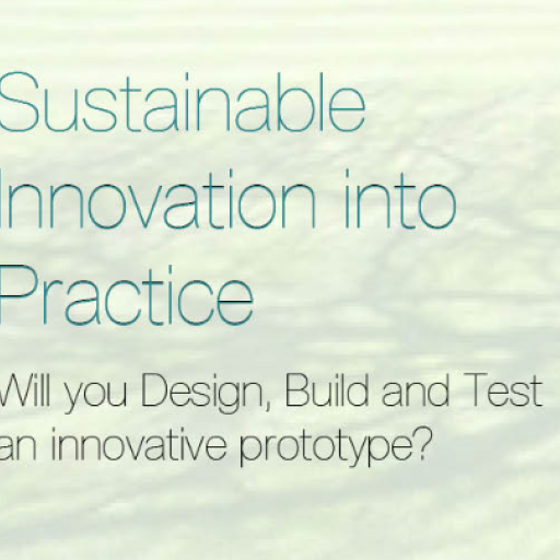 Sustainable Innovation Into Practice