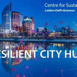 Resilient City Hub