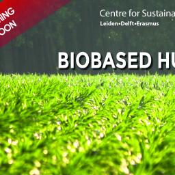 LDE CfS Biobased Hub